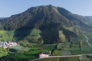 Dieng Ceria Resort - 8