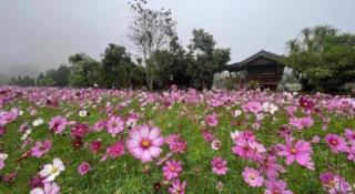 Nai Khun Khao Resort - 5