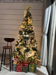 SQUIRRELHOME District8 - 4