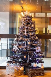 The Originals Boutique, Hôtel-Restaurant d'Alsace, Strasbourg Sud - 7