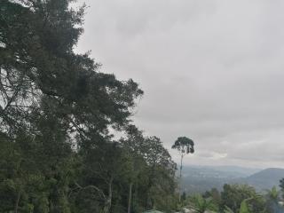 The Jungle Life Homestay Thangamalay Sanctuary Haputale by Gisela Sivam - 7