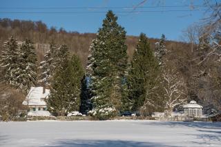 Altes Forstamt im Teutoburger Wald-Fewo Hofgarten - 7