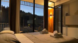 Didveli Gallery Bakuriani B202 დიდველი გალერეა ბაკურიანი B202 - 0