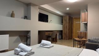 Didveli Gallery Bakuriani B202 დიდველი გალერეა ბაკურიანი B202 - 1