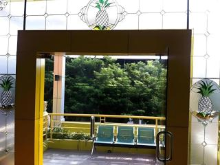 Pineapple Mansion - 9