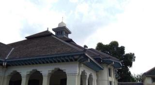 Pineapple Mansion - 3