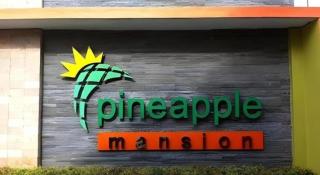 Pineapple Mansion - 2