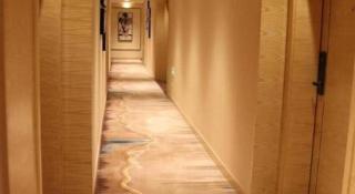 ST. MORITZ BUSINESS HOTEL - 8