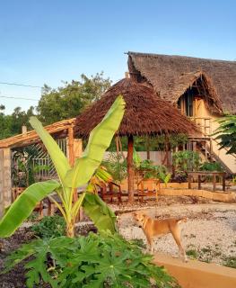 Serenity stay Kizimkazi - 6