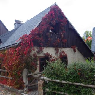 Ferienhaus Frieda - Kurort Altenberg - 0