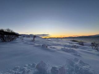 Lovely Cabin Amidst Bustling Wildlife - 9