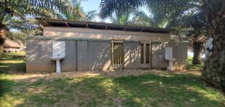 Bugoma Palms Resort Beach and Hotel - 7