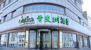 Vatica Tianjin Jinghai Bus Station Home World Plaza Hotel - 2