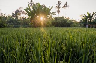 Uma Raos Cottage - 5