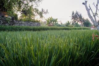 Uma Raos Cottage - 6