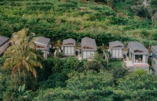 Pakubon Kintamani - 5