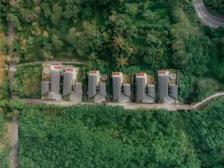 Pakubon Kintamani - 4