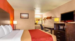 Econo Lodge Meridian South - Meridian - 6