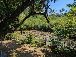 LotusScape Ahangama - 7