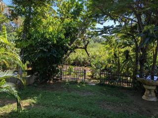 LotusScape Ahangama - 6