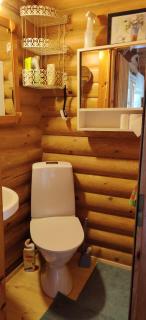 Cottage in the tranquility of nature by the forest pond - 2