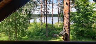 Cottage in the tranquility of nature by the forest pond - 7