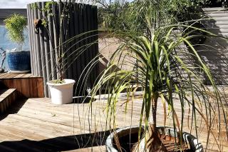 Villa Le Voyageur St-Gilles les bains - piscine privée Mont Roqufeuil - 4