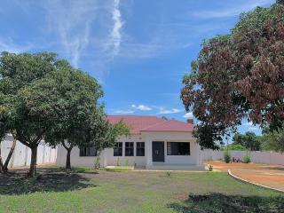 Poinsettia White House - 4