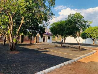 Poinsettia White House - 3