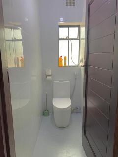 Poinsettia White House - 2