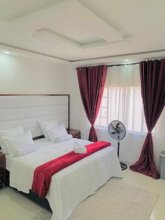 Poinsettia White House - 9