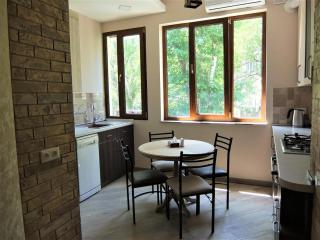 Apartment in city center with a small balcony - 0