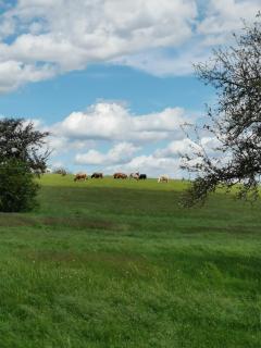 Ferienwohnung Schöne Aussicht Reelsen - 2