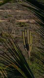 Master Hexagon Bedroom 180 Ocean View - 8