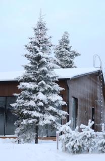 Villa Memory-Aurora view bath-Sauna-Lapland-Santa - 4