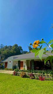 The Pangrango Huis Villa - 0