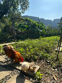 Peaceful refuge homestay - 6