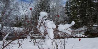 LaVida Star Alpine Hideaway Thun, Sauna, free parking - 3