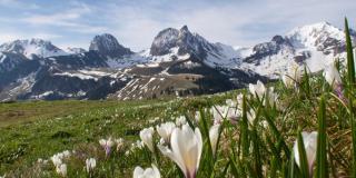 LaVida Star Alpine Hideaway Thun, Sauna, free parking - 1