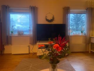 Nansenvegen apartment - 9