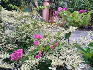 Delima Guest House Kangkar Pulai - 9