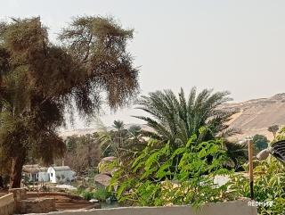 Sugar Nubian Guest House Nile Vew - 4