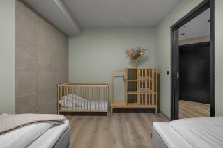 Large, modern apartment with amazing views and heated indoor garage - 5