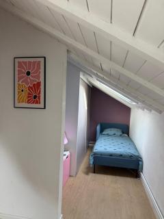 Villa Schmitt - Sélestat - 1