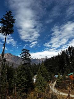 Oreos cafe and stay shangarh - 5