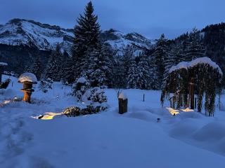 ALPENGARTEN EIGENTHAL - Private Wellness Retreat - 0