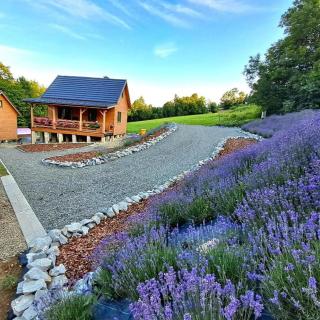 Agroturystyka Lawendowa Dolinka Domki Beskid Niski - 9