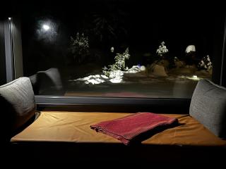 ALPENGARTEN EIGENTHAL - Private Wellness Retreat - 1