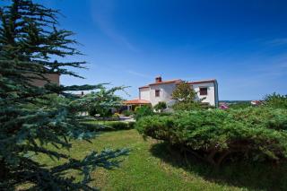 Apartments Tea 944 - 0