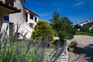 Apartments Tea 944 - 9